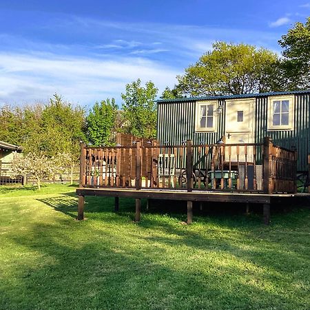 Lilly'S Pad Hotel Bude Bagian luar foto